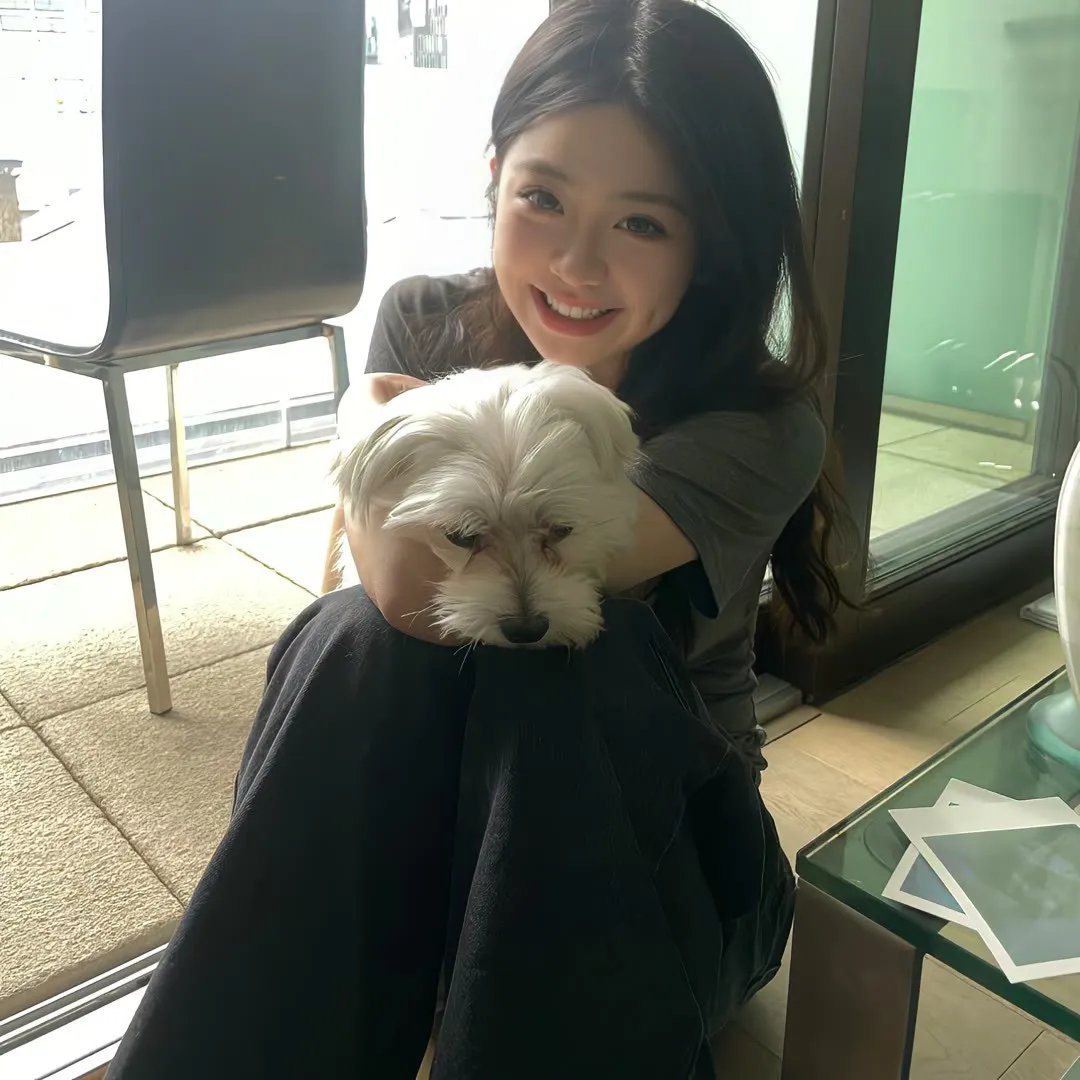 与你再遇鲜花盛开之丘