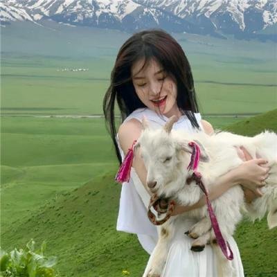 你们练武我修仙